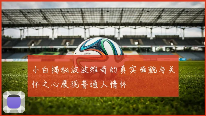 小白揭秘波波维奇的真实面貌与关怀之心展现普通人情怀